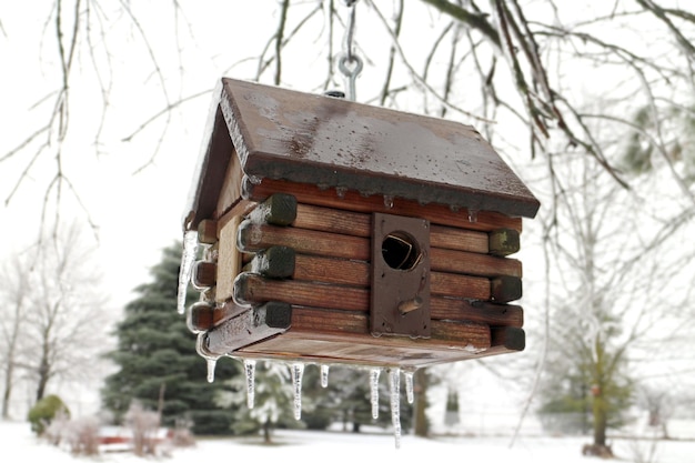 Blockhaus Vogelhaus frostig