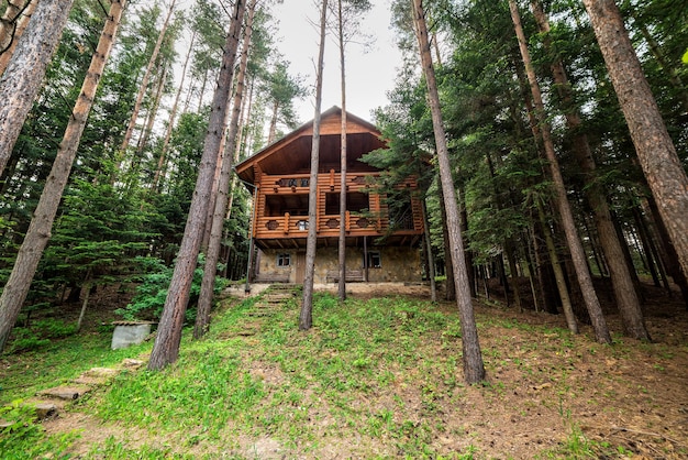 Blockhaushütte im Kiefernwald