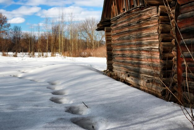 Blockhauswand Landschaft Winter