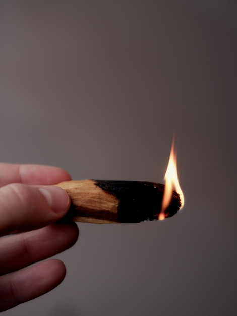 bloco de queimação de palo santo madeira closeup