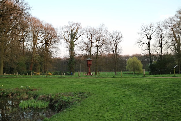 Foto blöde bäume auf einem grasfeld im park