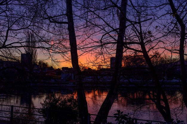 Foto blöde bäume gegen den himmel beim sonnenuntergang