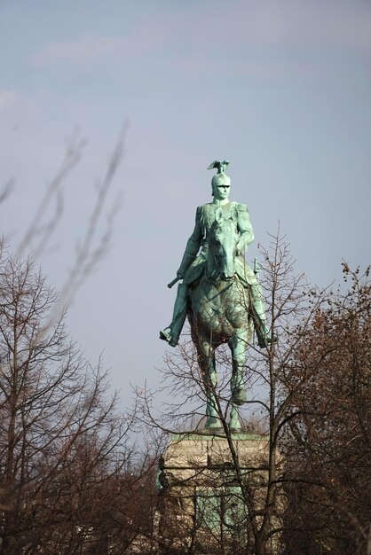 Foto blöde bäume gegen den himmel