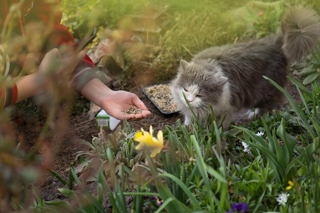 Bloggerin verbreitet Grassamen für eine Katze und dreht Video am Telefon Gärtnerin Bloggerin hält ihre Katze