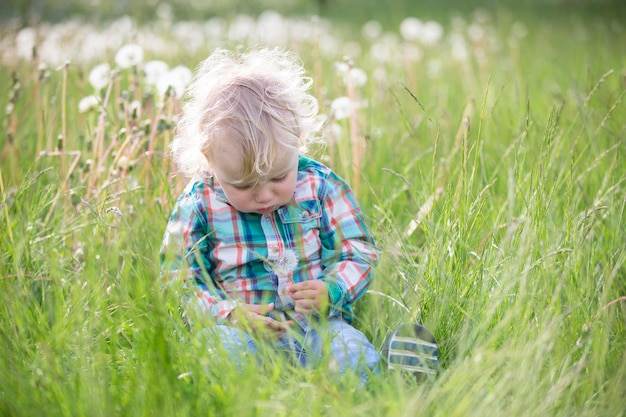 Blond kleiner Junge mit einem Löwenzahn Ein Jahr altes Baby sitzt im Gras Kind auf der Wiese