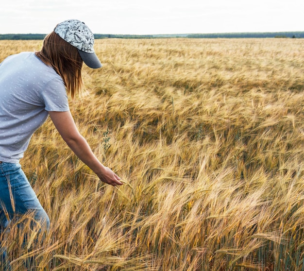 blonde frau in jeans zwischen gelbem trockenem getreideweizenfeld, das ährchenlandwirtschaft und kornerntekopierraum berührt