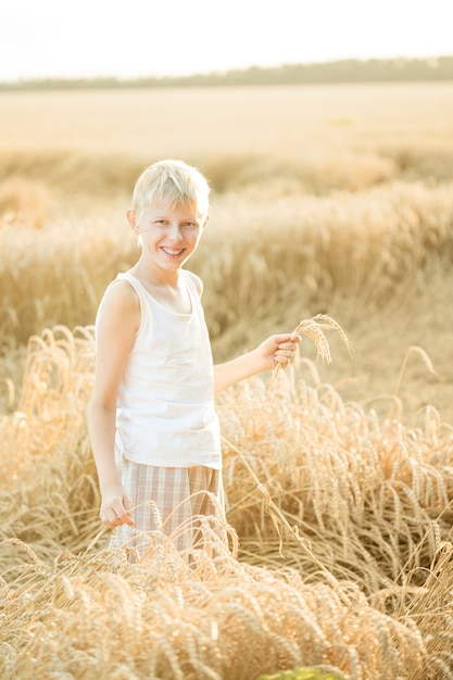 Blonder Junge am Weizenfeld