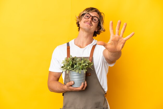 Blonder Mann des Gärtners hält eine Pflanze lokalisiert auf gelber Wand, die fünf mit den Fingern zählt