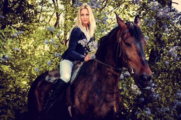 Blonder weiblicher Jockey, der auf Pferderücken über Fliederbuschhintergrund sitzt.