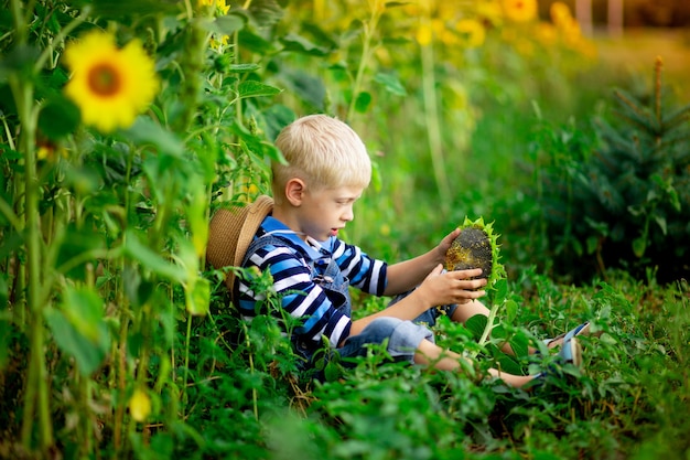 Blondes Baby, das in einem Feld mit Sonnenblumen im Sommer, Kinderlebensstil sitzt.