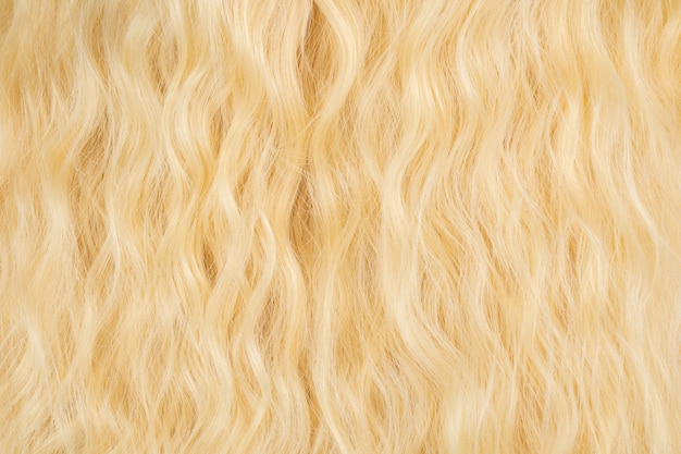 Blondes schönes gewelltes Haarmuster. Ansicht von oben.