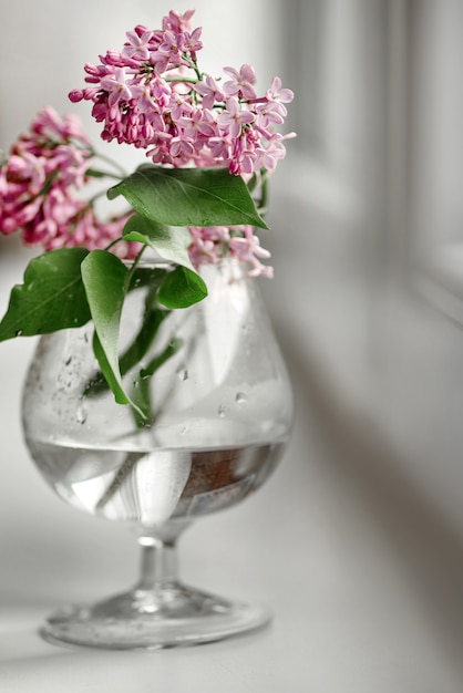 Blooming lila montón en copa de vino borrosa sobre fondo blanco.