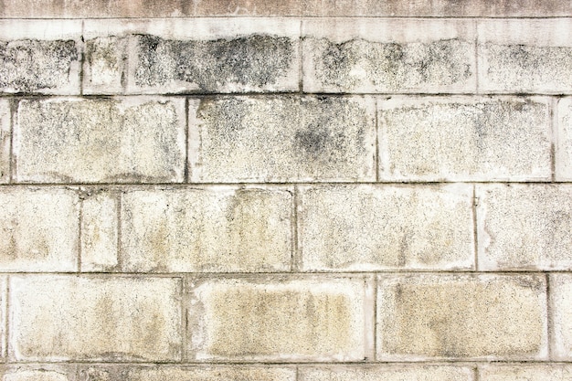 Bloque de cemento de pared sucia de textura