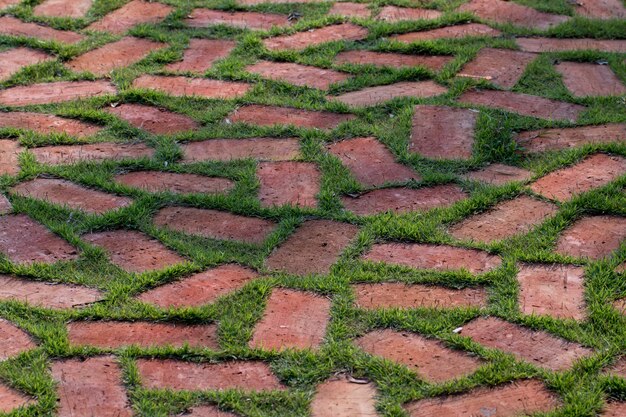 Bloque de piedra con decoración al aire libre de hierba