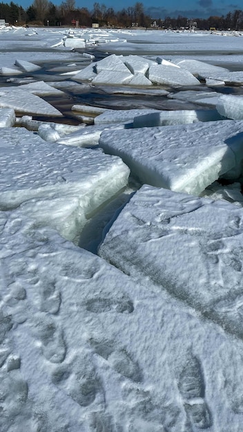 bloques de hielo en el mar congelado bajo el sol