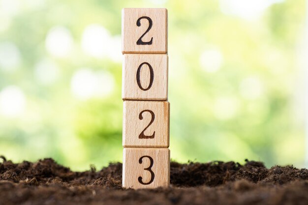 Los bloques de madera yacen sobre una mesa de madera con el telón de fondo de un jardín de verano y crean la palabra 2023