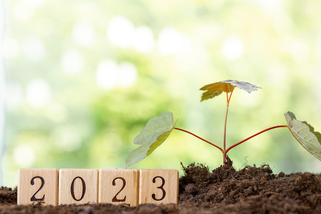 Los bloques de madera yacen sobre una mesa de madera con el telón de fondo de un jardín de verano y crean la palabra 2023