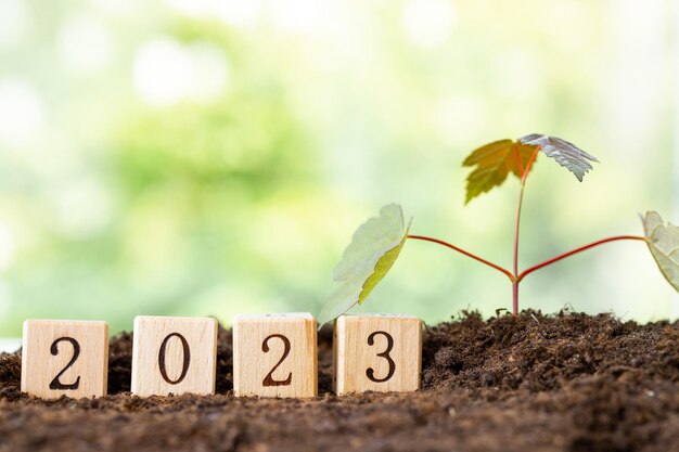 Los bloques de madera yacen sobre una mesa de madera con el telón de fondo de un jardín de verano y crean la palabra 2023