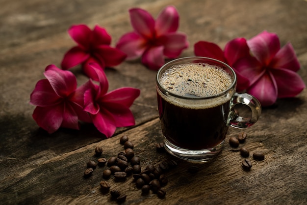 Blossom Red Plumeria oder Frangipani Blumen auf gerösteten Kaffeebohnen Hintergrund
