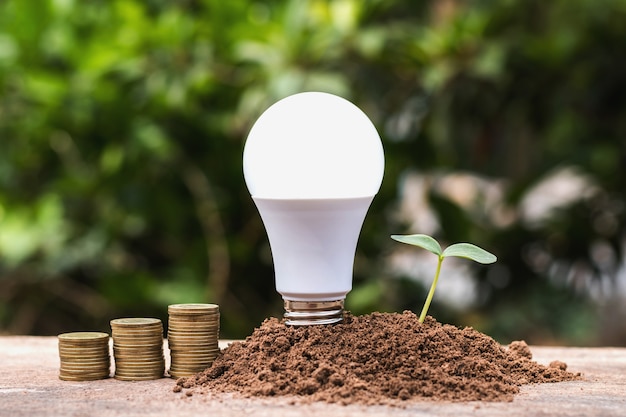 Foto blub led con plántulas verdes y dinero en la tierra