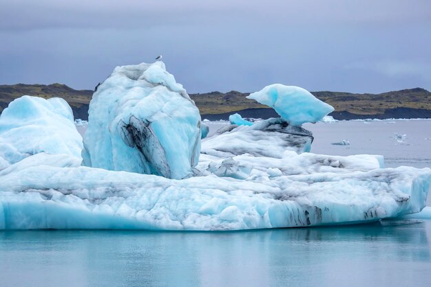 Blue ice na margem da lagoa de gelo na islândia