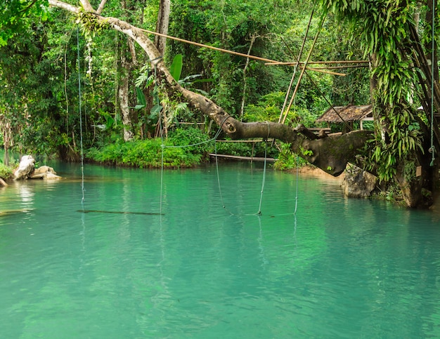 Blue lagoon, Vang vieng, Laos