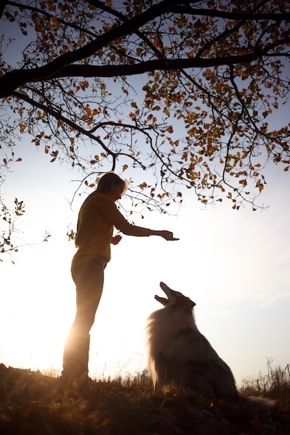 Blue merle Rough Collie sentado na frente de uma garota em um parque amarelo de outono ao pôr do sol