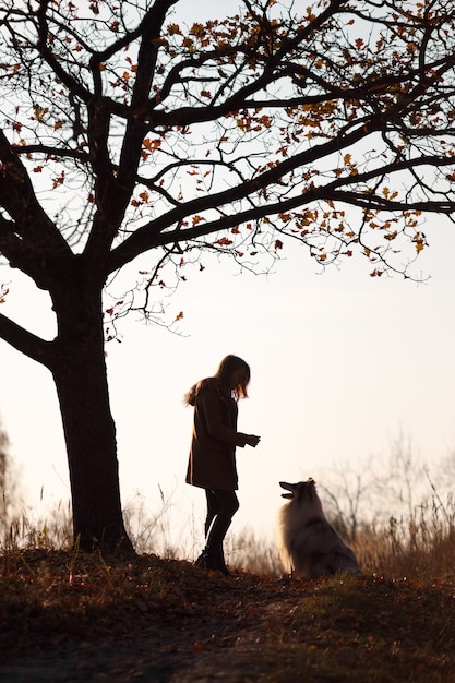 Blue Merle Rough Collie sitzt bei Sonnenuntergang vor einem Mädchen in einem gelben Herbstpark