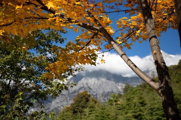 Blue Moon Valley Lijiang China im Oktober