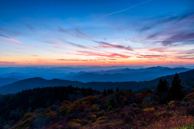 Blue Ridge Parkway Azul Rosa Closeup