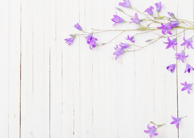 Bluebel Blumen om weißen Holzraum