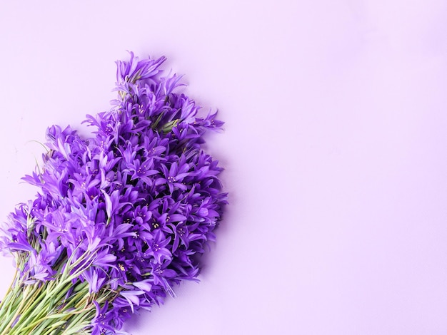 Bluebell Blumen auf einem lila Hintergrund Platz kopieren