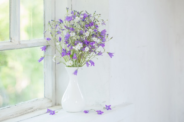 Bluebells em vaso no peitoril da janela