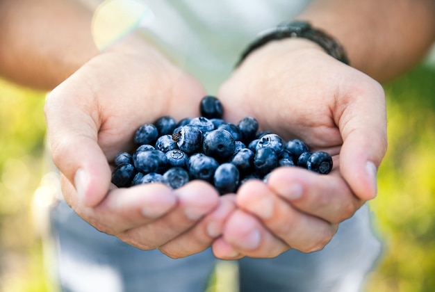 Blueberry nas mãos do agricultor, homem, fruta, comida, natureza