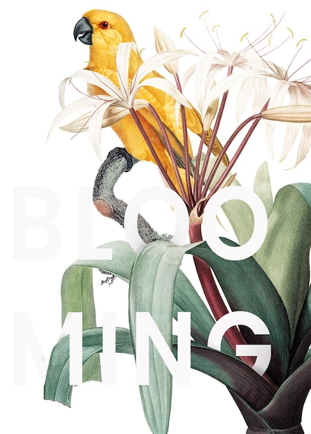 Blühende Ara-Vogel-Typographie PNG