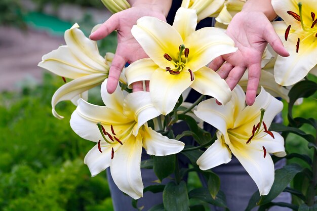 Blühende Gartenblumen