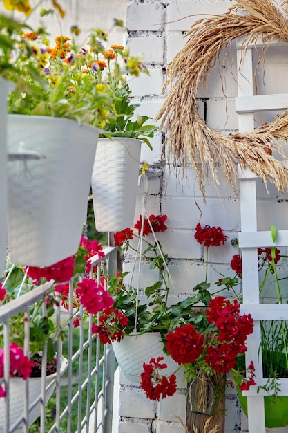 Blühende Pflanzen in Töpfen auf der Balkonterrasse Selektiver Fokus