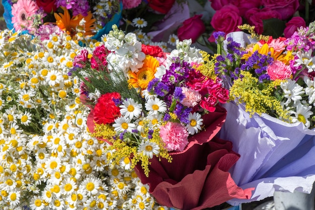 Blühende schöne bunte Naturblumen im Blick