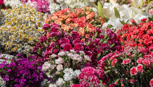 Blühende schöne bunte Naturblumen im Blick