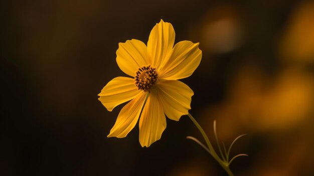 Blühende Schönheit Die bezaubernde Blume in 169 AR