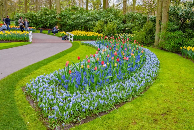 Blühende Tulpen im Keukenhof Park Lisse Holland Niederlande