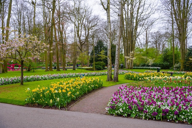 Blühende Tulpen und Narzissen im Keukenhof Park Lisse Holland Niederlande