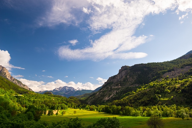 blühende Wiese idyllische Berglandschaft mit schneebedeckten Bergkette Ecrins Massif Gebirgszug