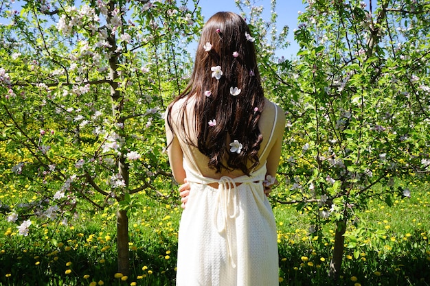 Blühender Apfelgarten im Frühling Schönes Mädchen mit braunen Haaren in einem blühenden Apfelgarten mit weißen Blumen