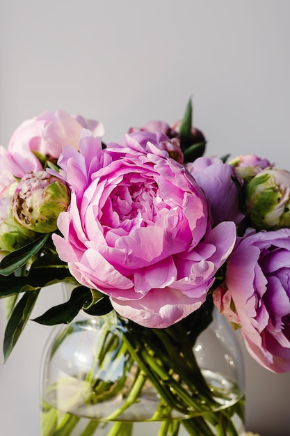 Blühender, flauschiger, weißrosa Pfingstrosenblumenstrauß auf elegantem, minimal pastellgrauem Hintergrund Kreative minimale Blumenkomposition Atemberaubende botanische Tapete oder lebendige Grußkarte