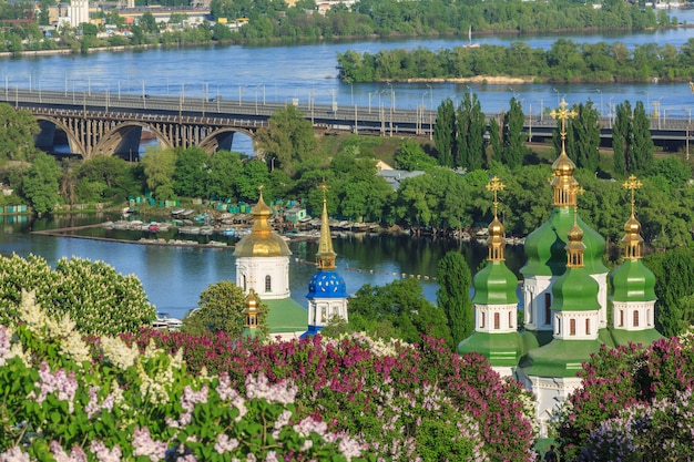 Blühender Flieder im Botanischen Garten Kiew Ukraine