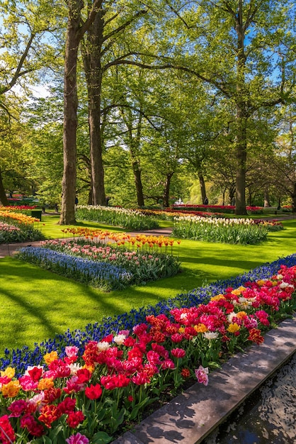 Blühender Garten Europas Keukenhof Park Niederlande