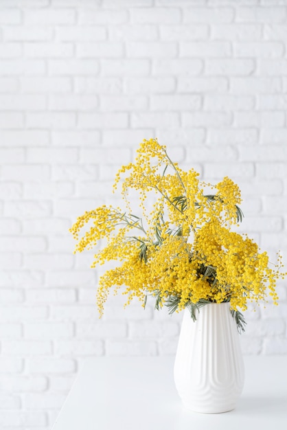 Blüte der Mimosenblume in weißer Keramikvase auf weißem Backsteinwandhintergrund mit Platz für Text