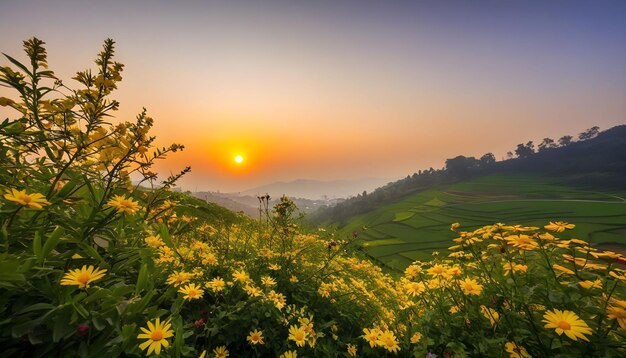 Blüte inmitten der Berge am Abend