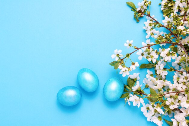 Blüte Kirsche und Ostern blaue Eier auf dem blauen Hintergrund.